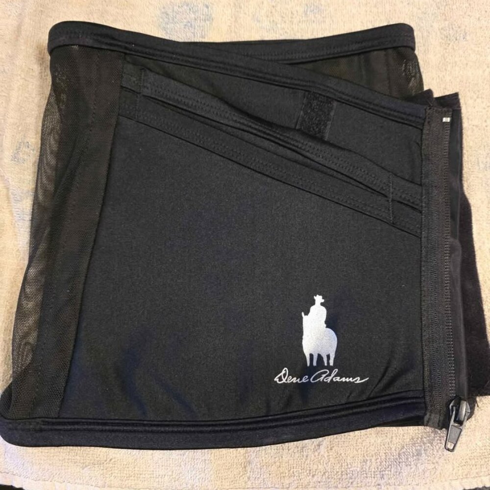 Dene Adams Concealed Carry Corset 4X Black